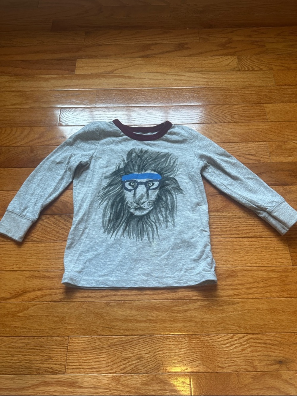 Kids Long Sleeve Grey Lion Graphic Tee with Blue Accent